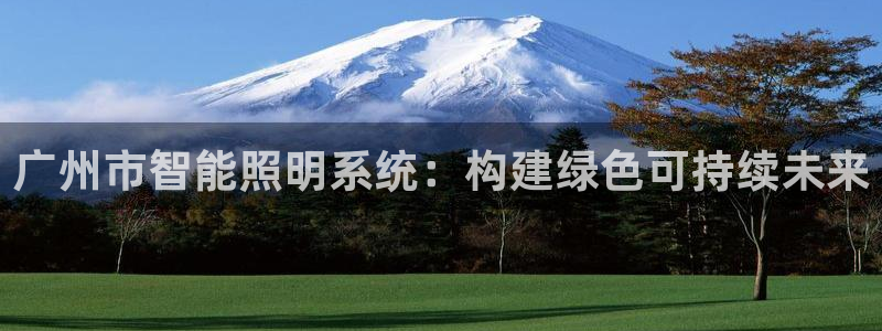 广州市智能照明系统:构建绿色可持续未来