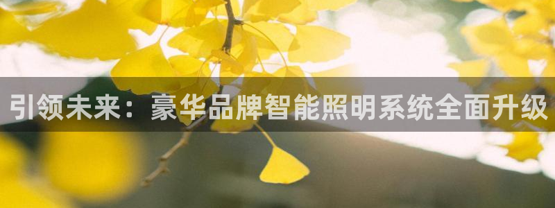 引领未来:豪华品牌智能照明系统全面升级