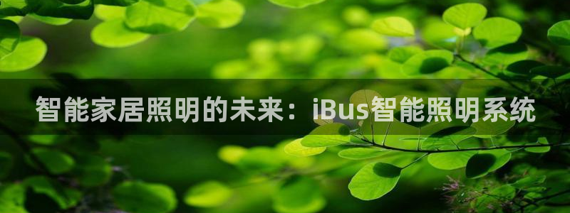 智能家居照明的未来:iBus智能照明系统